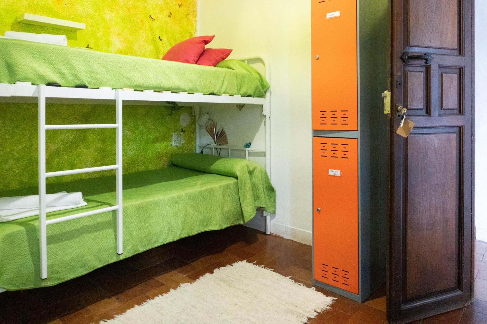 Bed 2-Bed Mixed Dormitory Room