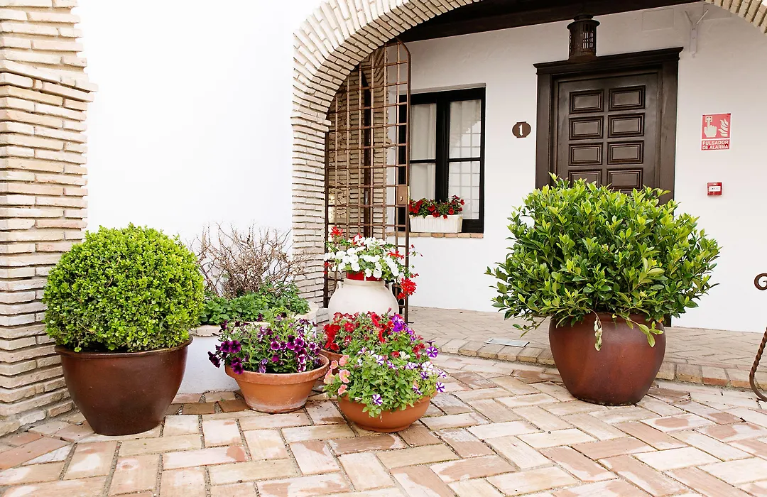 Suites La Posada De Pilar-1