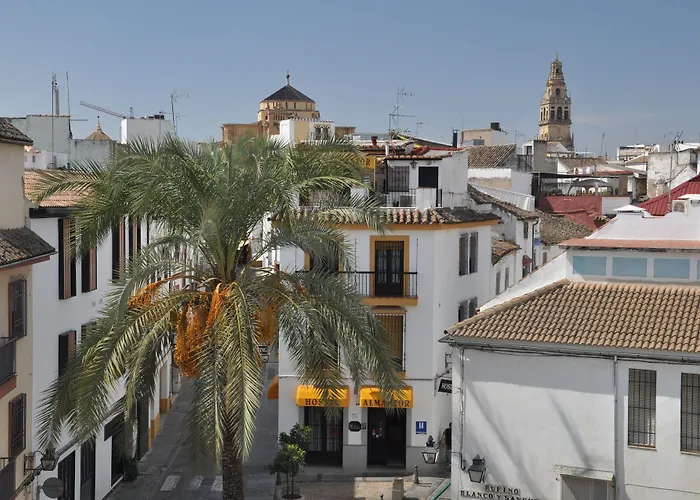 Hostal Almanzor Córdoba
